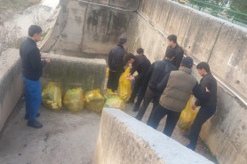 АКСИЯИ “ТОЗАГИИ СОҲИЛ”