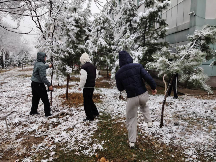 ШАНБЕГИИ ДАСТАҶАМЪОНА