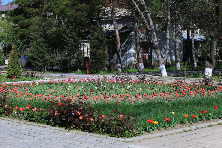 ГУЛУ ЛОЛАҲО СИМОИ ДОНИШГОҲРО БОЗ ҲАМ ЗЕБОТАР МЕКУНАНД